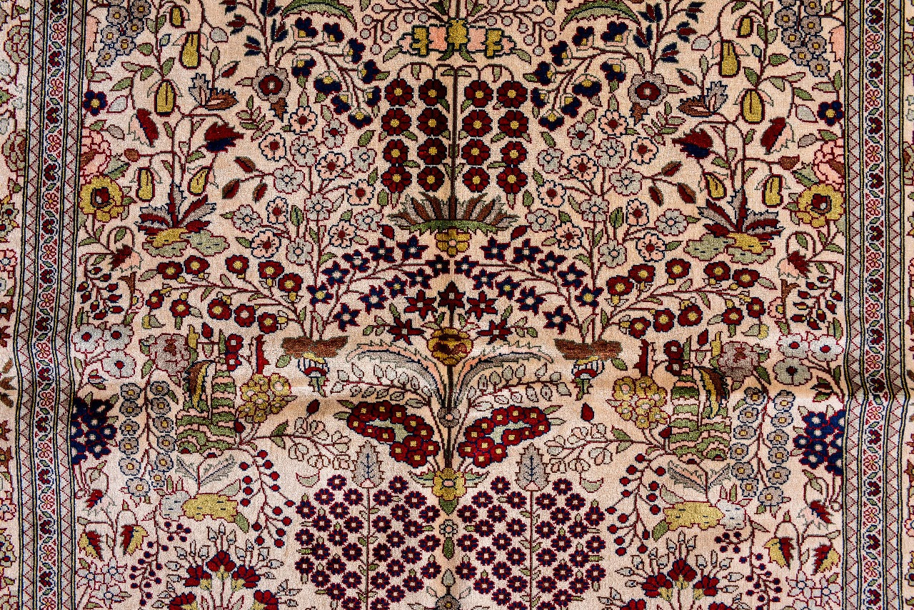 Polsis – Peacock of the East